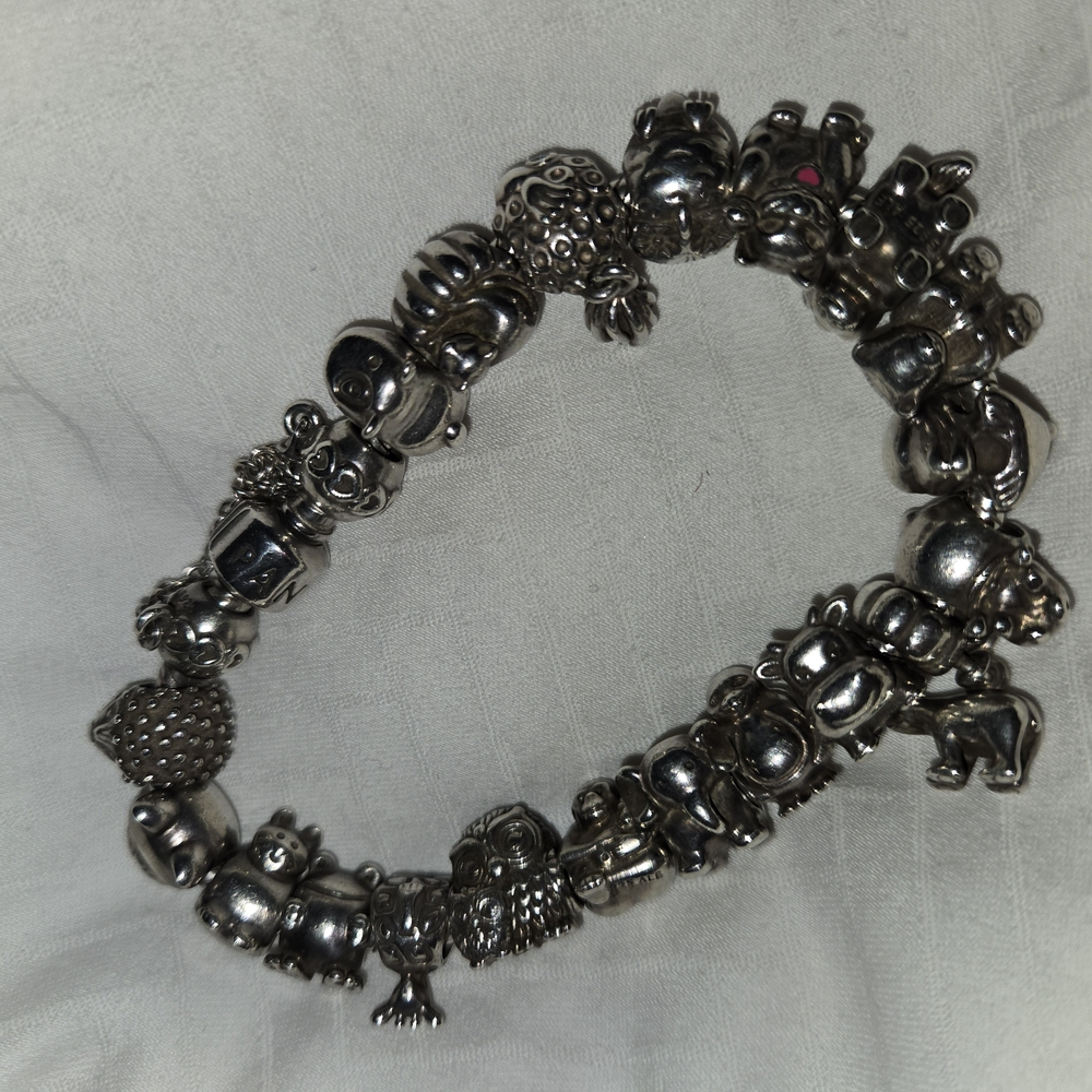 Silver Charm Bracelet